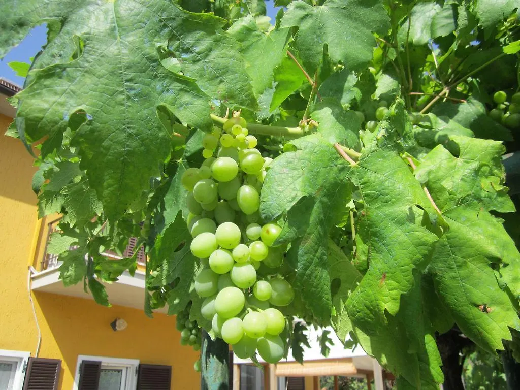 Agriturismo La Carlina Magliano in Toscana Italien