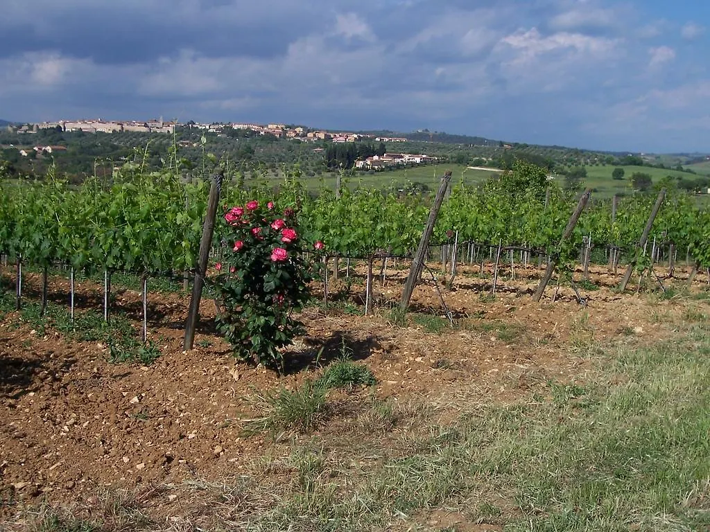 Agriturismo La Carlina Magliano in Toscana 0*,